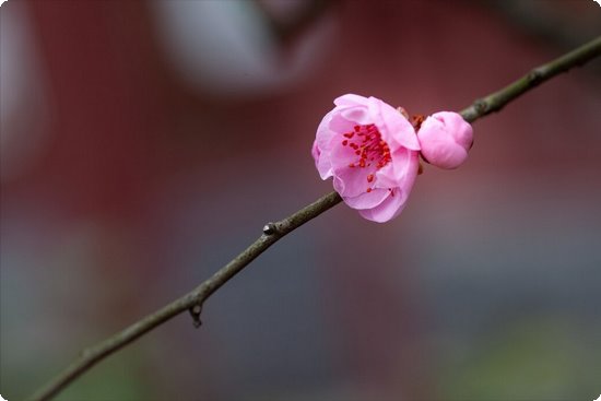 北京高招体育专业考试6月13日开启，考生凭绿码进场